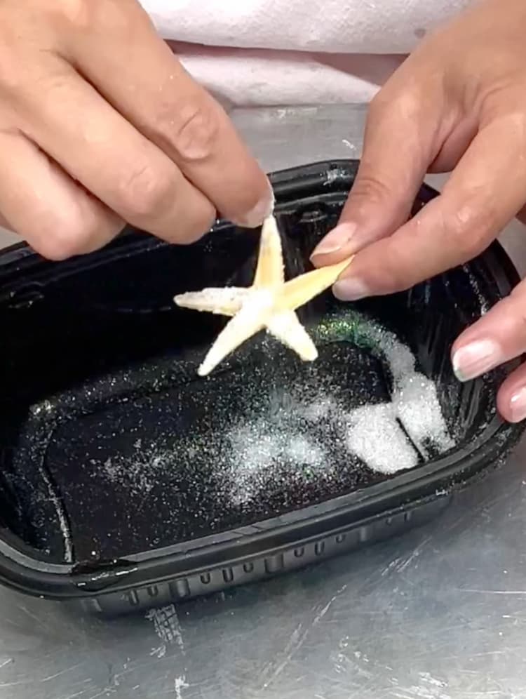 glittering a starfish